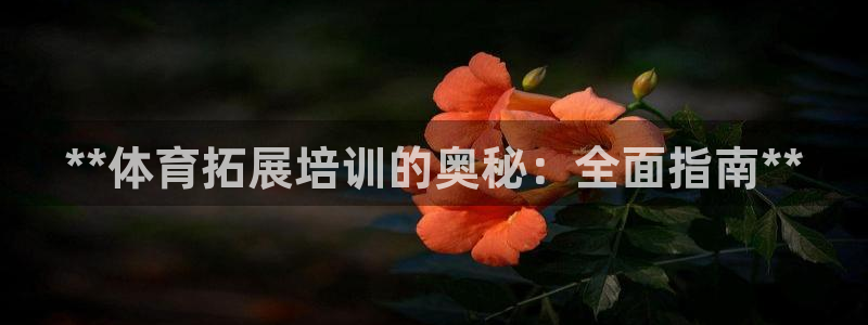 焦点娱乐皮皮虾视频：**体育拓展培训的奥秘：全面指南
