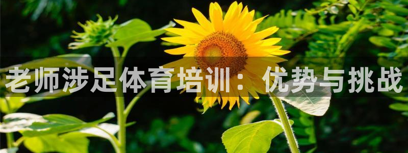 焦点娱乐传媒有限公司官网电话：老师涉足体育培训：优势