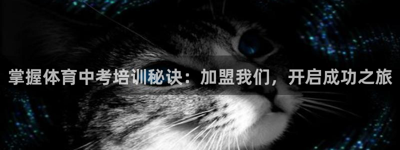 焦点娱乐官网下载安装最新版手机：掌握体育中考培训秘诀：加盟我