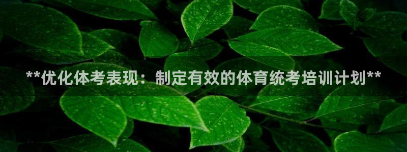 焦点娱乐平台章7O777：**优化体考表现：制定有效