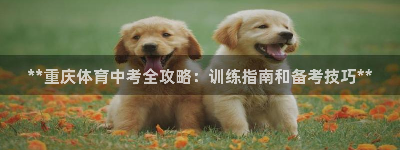 焦点娱乐官方网站入口在线观看下载：**重庆体育中考全