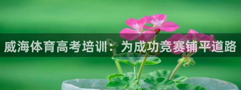 焦点娱乐官方网站首页下载：威海体育高考培训：为成功竞赛铺平道