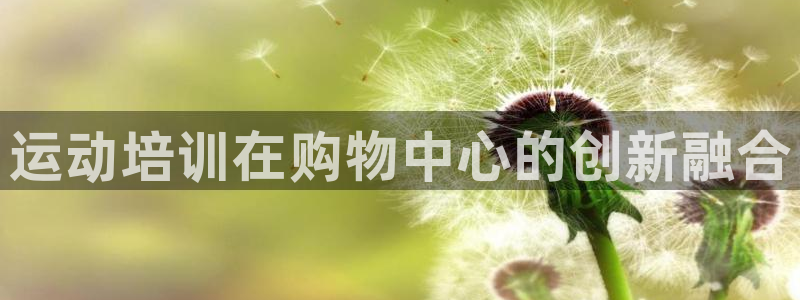 焦点娱乐有限公司：运动培训在购物中心的创新融合
