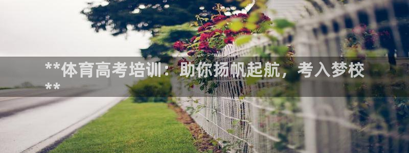 焦点娱乐app下载安装方式最新：**体育高考培训：助
