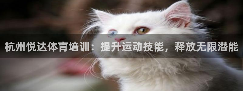焦点娱乐官网下载安装手机版最新：杭州悦达体育培训：提