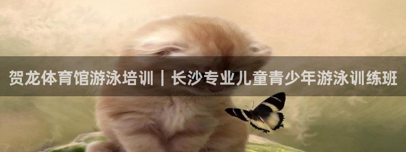 焦点娱乐星的视频：贺龙体育馆游泳培训｜长沙专业儿童青