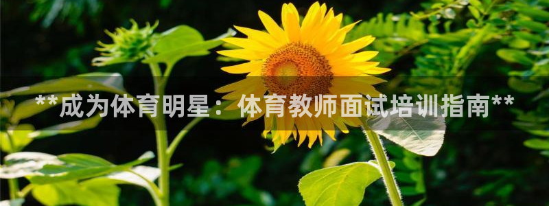 焦点娱乐官网下载安装手机版最新：**成为体育明星：体