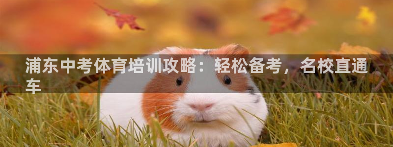 焦点娱乐app下载官网苹果版：浦东中考体育培训攻略：
