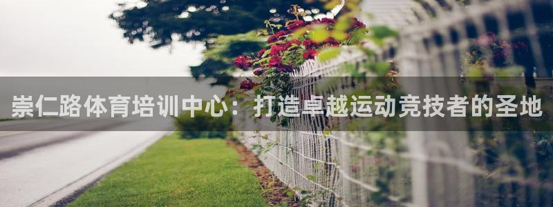 焦点娱乐有限公司：崇仁路体育培训中心：打造卓越运动竞技者的圣