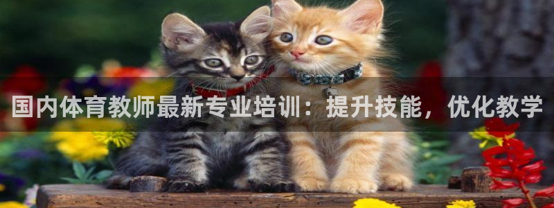 焦点娱乐公司的发展历程简介：国内体育教师最新专业培训：提升技
