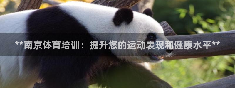 焦点娱乐平台供7O777：**南京体育培训：提升您的运动表现