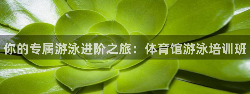 焦点娱乐平台登录不了了：你的专属游泳进阶之旅：体育馆