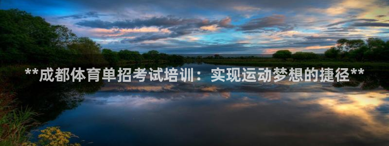 焦点娱乐公司官网：**成都体育单招考试培训：实现运动