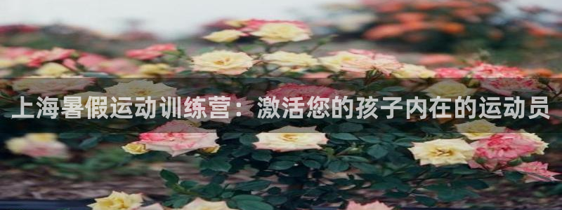 焦点娱乐app下载安装方式最新：上海暑假运动训练营：