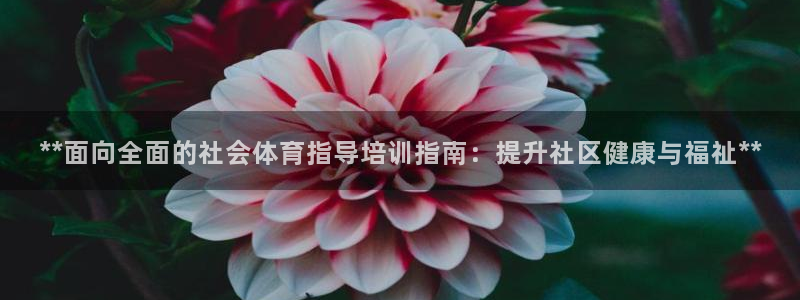焦点娱乐官网首页入口下载：**面向全面的社会体育指导