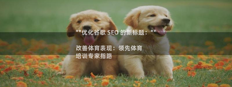 焦点娱乐游戏怎么玩视频：**优化谷歌 SEO 的新标
