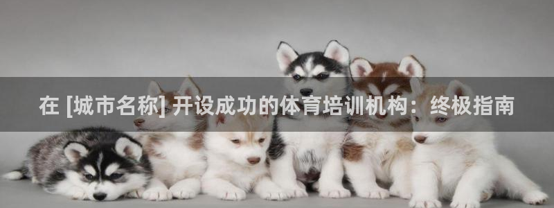 焦点娱乐传媒有限公司怎么样呀：在 [城市名称] 开设