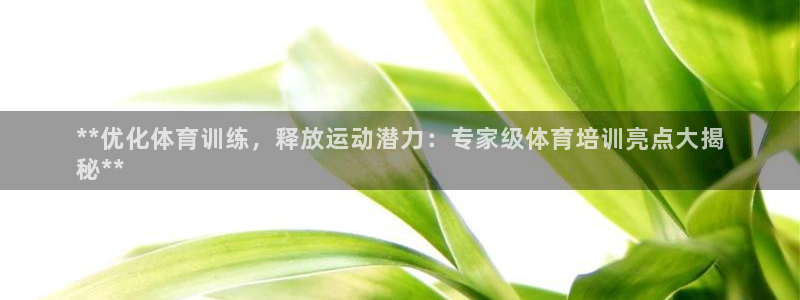 焦点娱乐平台注册账号是什么意思：**优化体育训练，释放运动潜