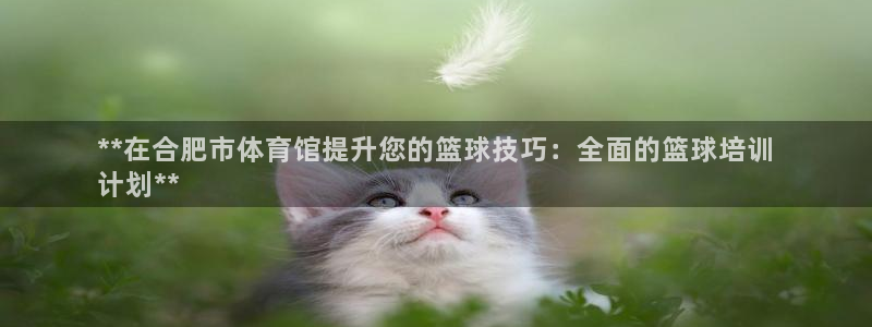 焦点娱乐平台注册账号安全吗可靠吗：**在合肥市体育馆