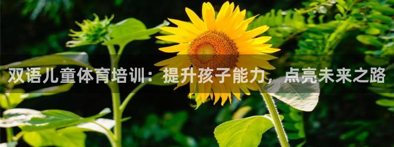 焦点娱乐平台玩法官方导师：双语儿童体育培训：提升孩子