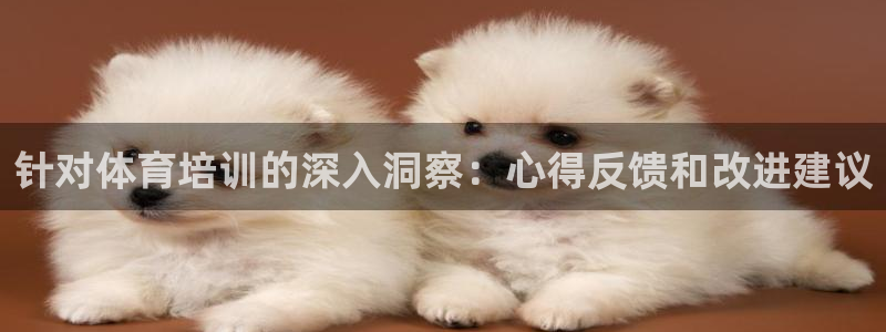 焦点娱乐无法提现怎么回事：针对体育培训的深入洞察：心