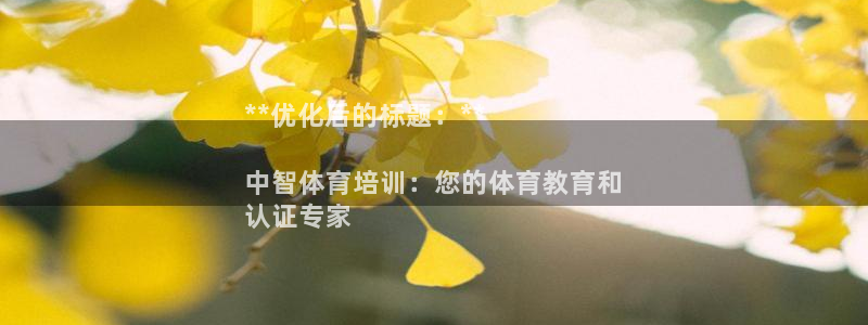 焦点娱乐开发商是谁：**优化后的标题：**

中智体