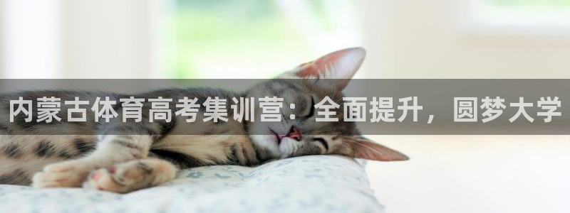 焦点娱乐家 5O6917 焦点：内蒙古体育高考集训营：全面提