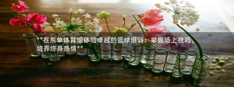 焦点娱乐平台客服电话号码查询：**在东单体育馆体验卓