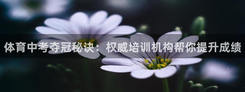 焦点娱乐平台最高待遇：体育中考夺冠秘诀：权威培训机构