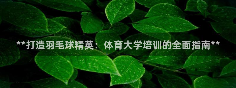 焦点娱乐传媒有限公司是干嘛的啊：**打造羽毛球精英：体育大学