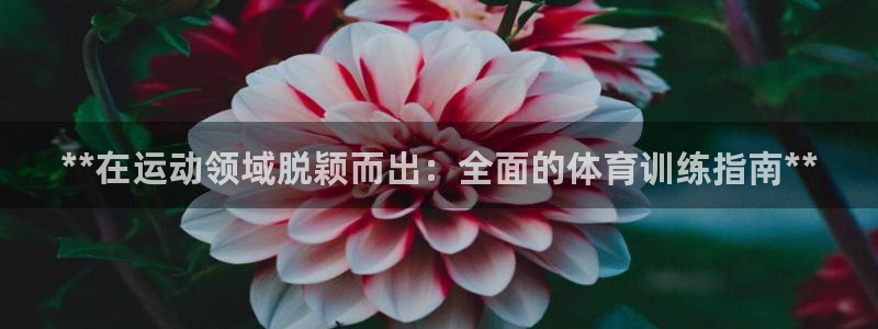 焦点娱乐app下载官网最新版苹果：**在运动领域脱颖
