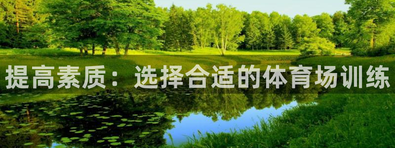 焦点娱乐开发商是谁