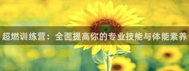 焦点娱乐官方网站入口