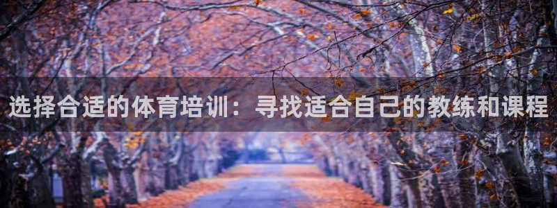 焦点娱乐下载手机版最新版