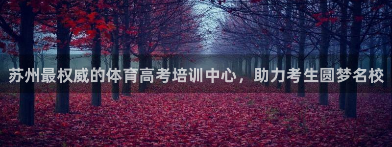 焦点娱乐平台怎么样赚钱