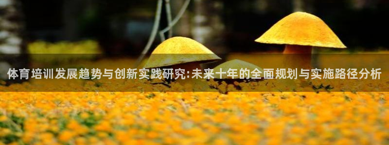 焦点娱乐怎么找导师