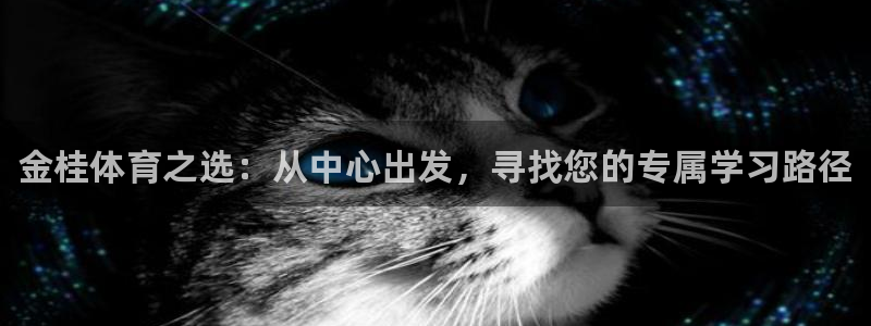 焦点娱乐软件版本大全