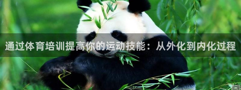 焦点娱乐平台留7O777