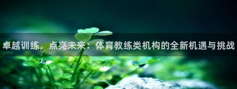 焦点娱乐app下载苹果版：卓越训练，点亮未来：体育教练类机构