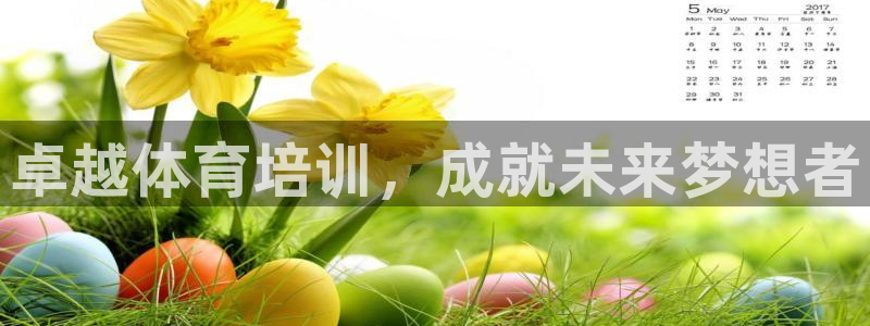 焦点娱乐官方网站下载安装：卓越体育培训，成就未来梦想者