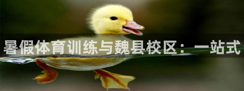 焦点娱乐平台是正规的吗：暑假体育训练与魏县校区：一站式