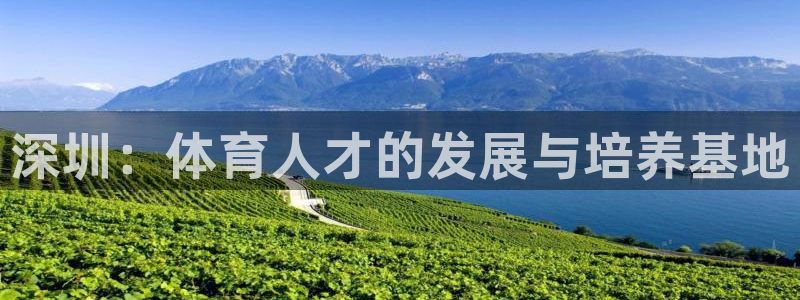 焦点娱乐官方网站下载安装最新版：深圳：体育人才的发展与培养基
