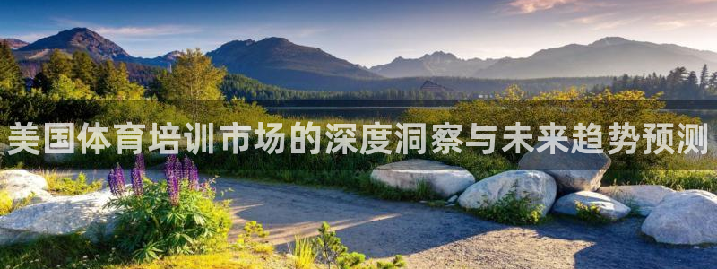 焦点娱乐会所：美国体育培训市场的深度洞察与未来趋势预测