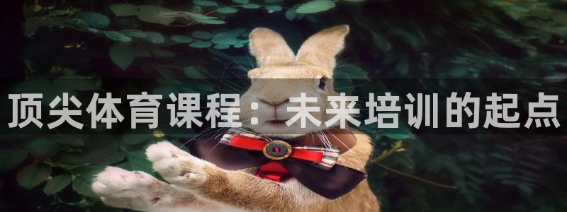 焦点娱乐全国总冠军有哪些：顶尖体育课程：未来培训的起点