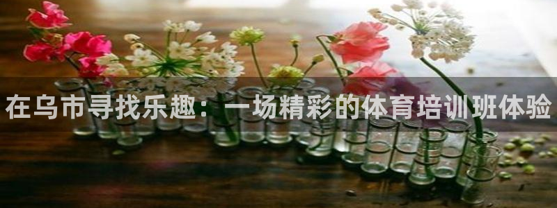 焦点娱乐平台底7O777：在乌市寻找乐趣：一场精彩的体育培训